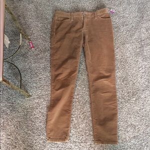 Banana Republic Pants